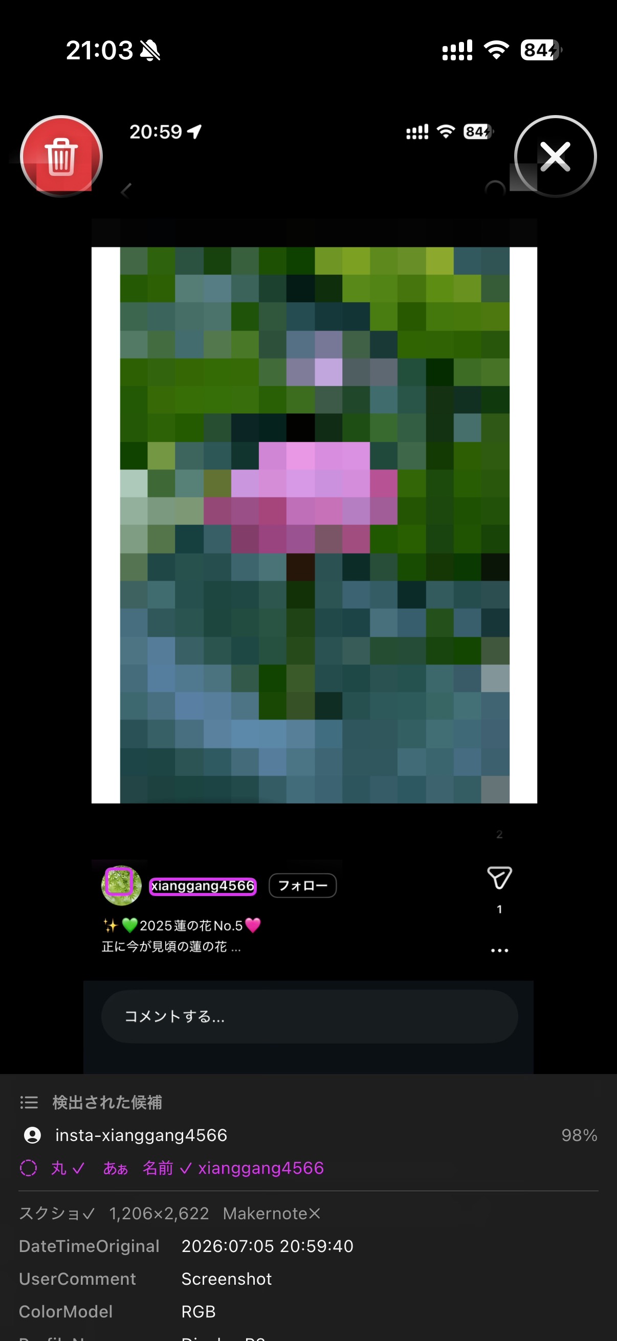 Detected handle & metadata