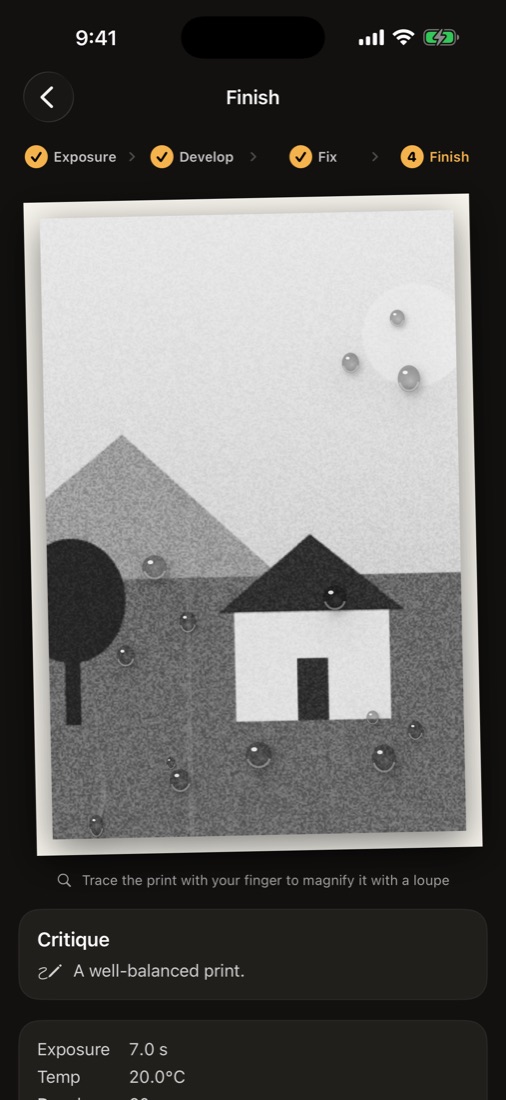 Finished print with critique